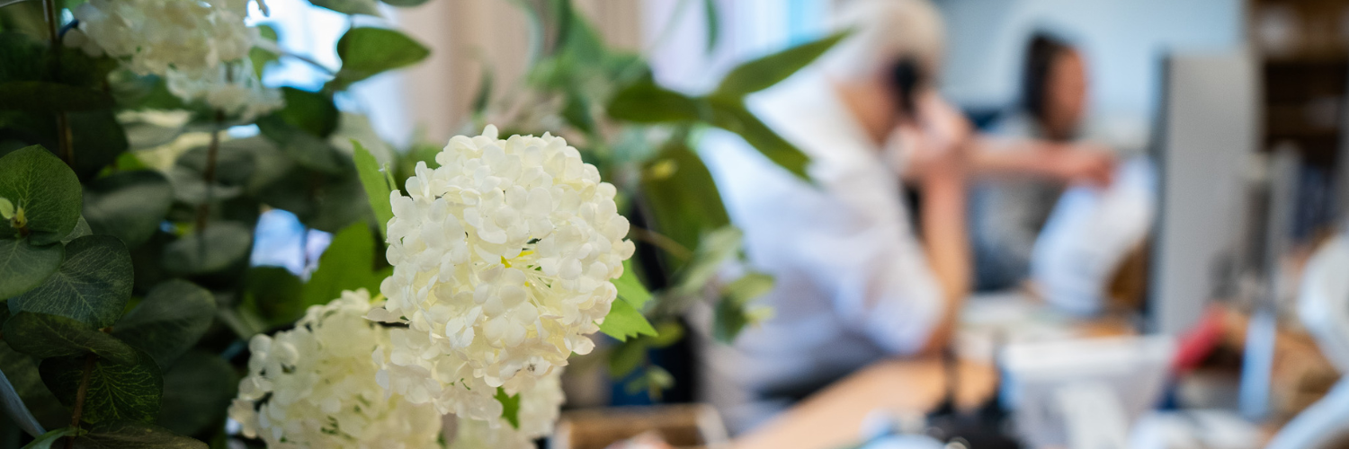 White flowers in focus with hospice office staff working in the background, representing Rotherham Hospice’s commitment to compassionate care and advocacy for sustainable funding.