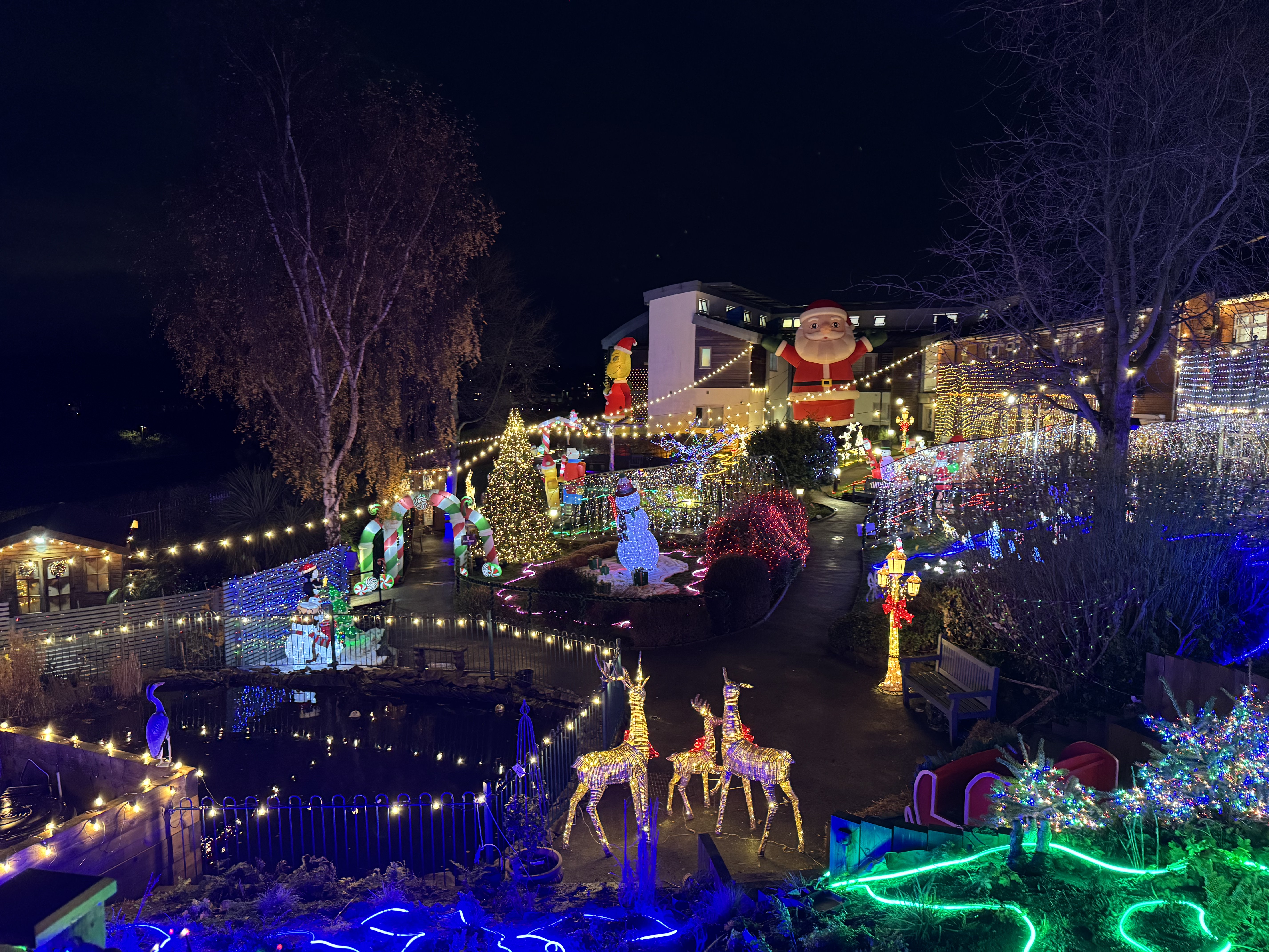 Rotherham Hospice's Winter Wonder Garden interactive light display and christmas trail in the hospice gardens